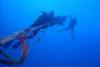 Diving the Duane in Key Largo