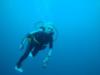 Carol Hinds diving on the Oriskany