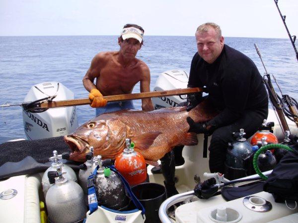 60# Cubera Snapper taken by Captain Rey 