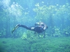 Diver @ Marico Oog - South Africa