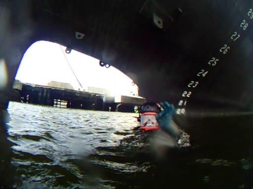 Security training dive, Charleston Sc, Cooper River