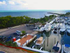 Key Largo Condo,Marina & Atlantic