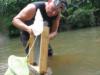 Picking smaller shark teeth out of screen