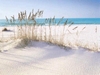 Henderson Beach State Park Near Destin