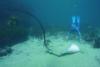 stingray put diver on guard