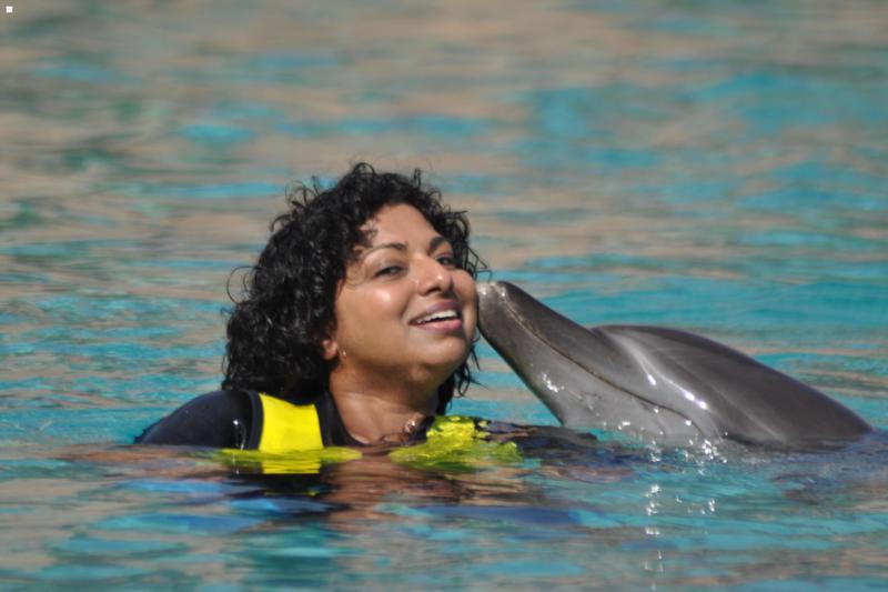 Swimming with Dolphins in Dubai