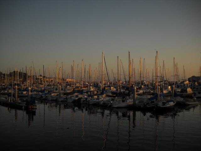 Morning at Monterey