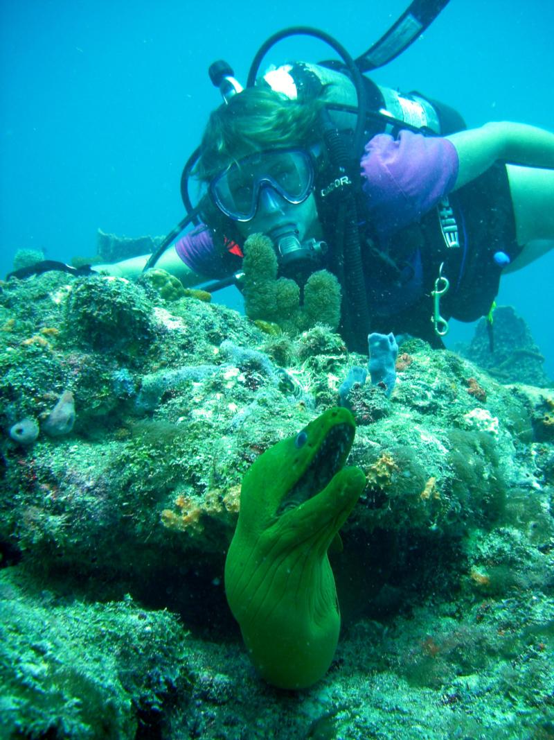 Moral Eel Ft Lauderdale Florida Scuba Diving