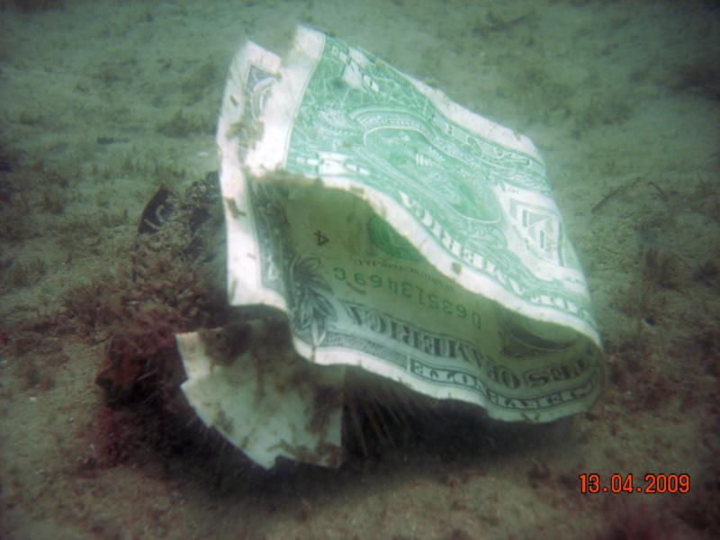 Treasure Underwater Boca Raton Florida Scuba Diving