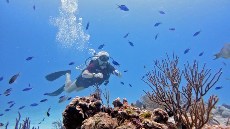 Cozumel