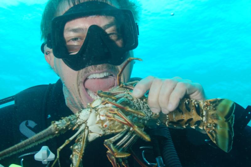 roatan breakfast lobster