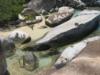 Virgin Gorda (The Baths)