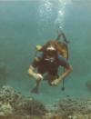 First dive on scuba, Hawaii 1983. Looks like I’m trying to run.....