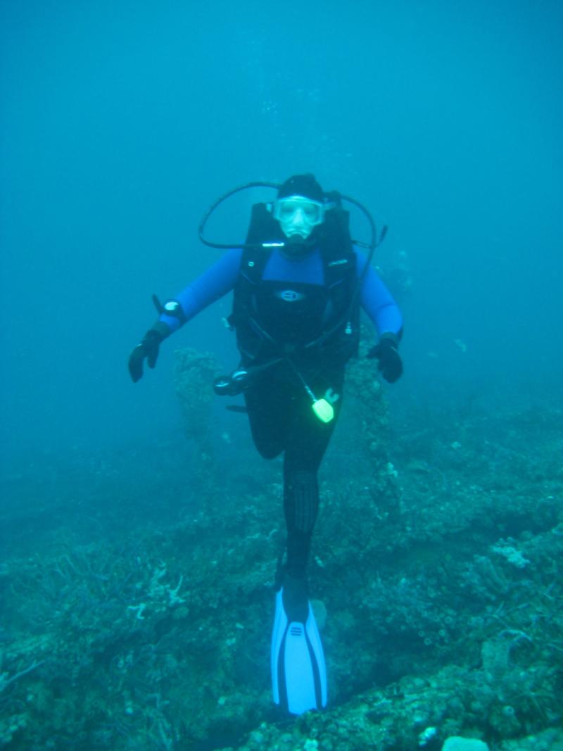 Florida diving