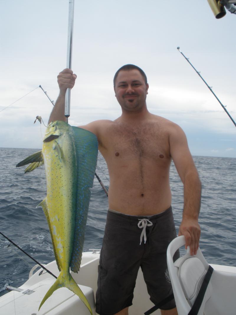 mahi mahi