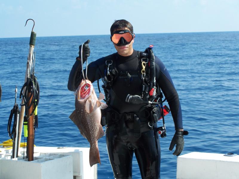 Nice Grouper in the Dry Tortugas