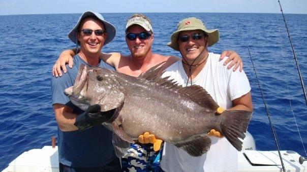 grouper