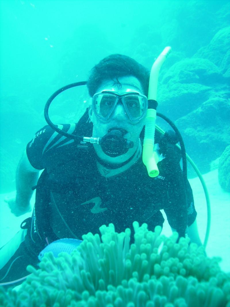 Diving in Bora Bora