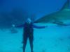 Gr Bahamas, Freeport, Shark