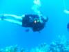 Honduras diving