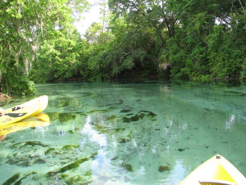 Weeki Wachee river, Fl.