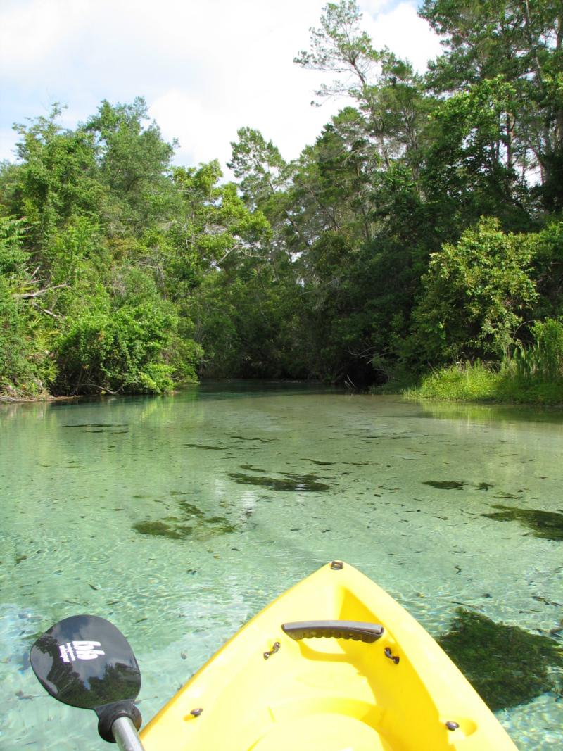 Weeki Wachee river, Fl.