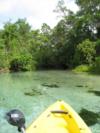 Weeki Wachee river, Fl.