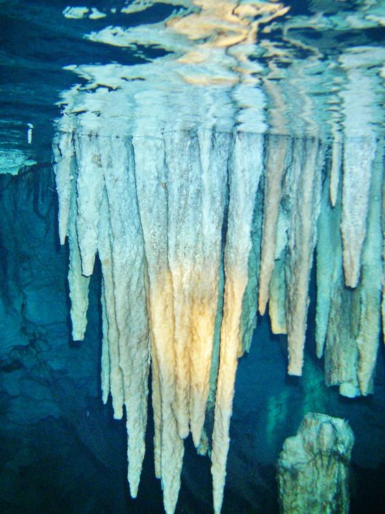 cenote stalactites underwater, Yucatan