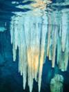 cenote stalactites underwater, Yucatan