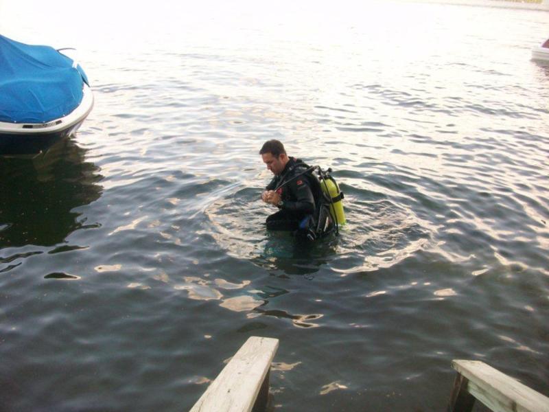 Getting ready to dive!