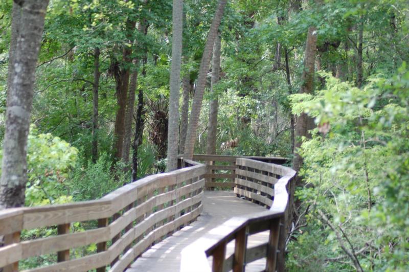 Blue Springs Florida - Boardwalk 