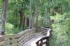 Blue Springs Florida - Boardwalk 