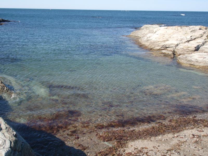 Newport, RI...one of my favorite dive sites!