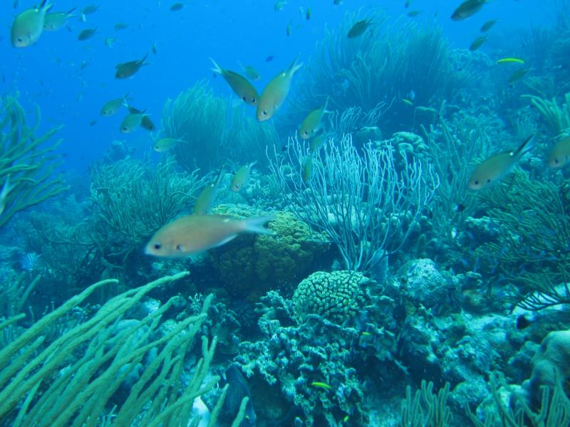 Bonaire