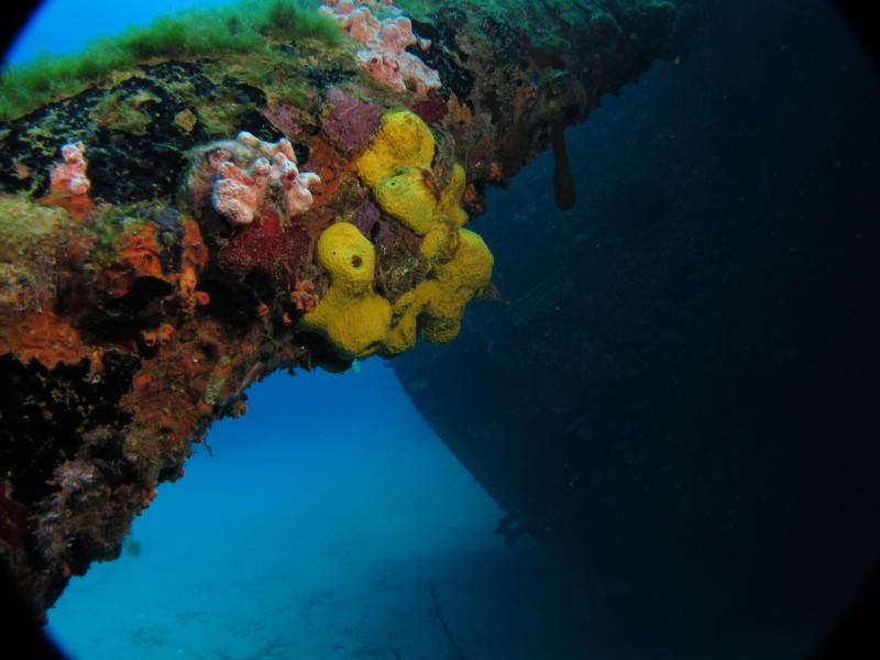 Bonaire