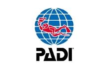 Padi