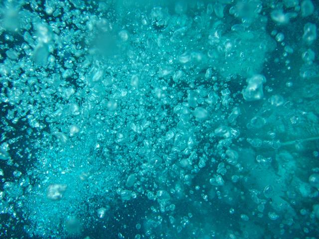 Weeki Wachee Springs