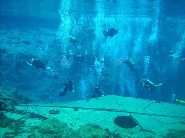Weeki Wachee Springs