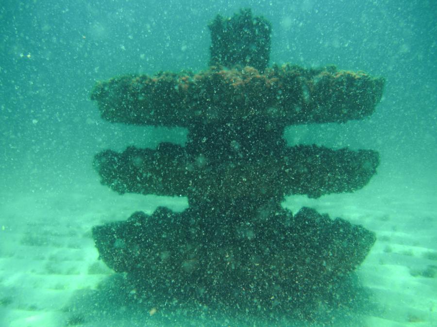 Pensacola Marine Sanctuary