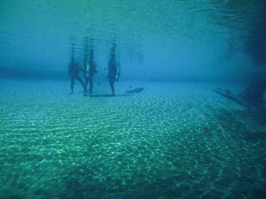 Morrison Springs Underwater