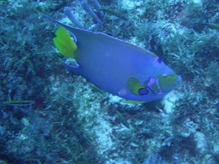 Cozumel May 07