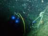 Following the tie down rope to the bottom of Blue Grotto