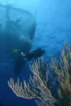 Honduras with Bestdivers.pl