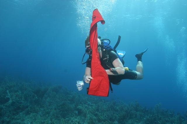 Bouy fighting underwater:-)