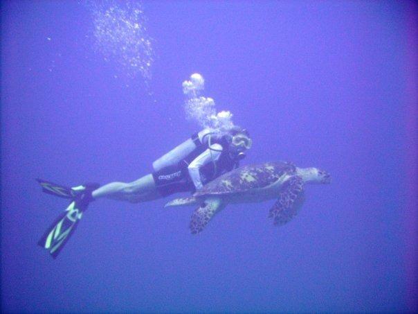 Barbados (Debbie with Turtle)