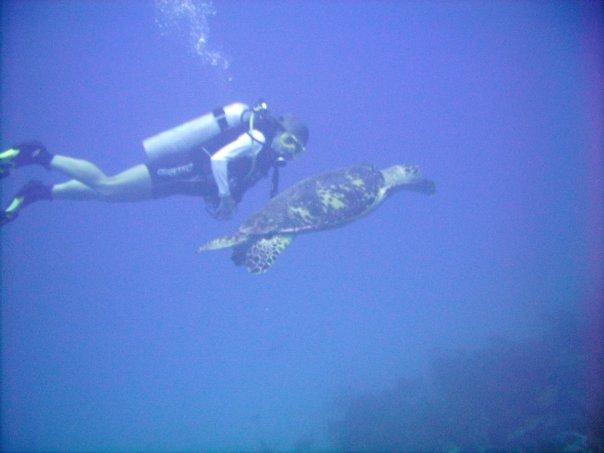 Barbados (Debbie and Turtle)