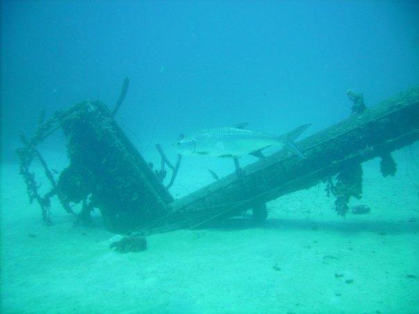 Bonaire (Helma Hooker)