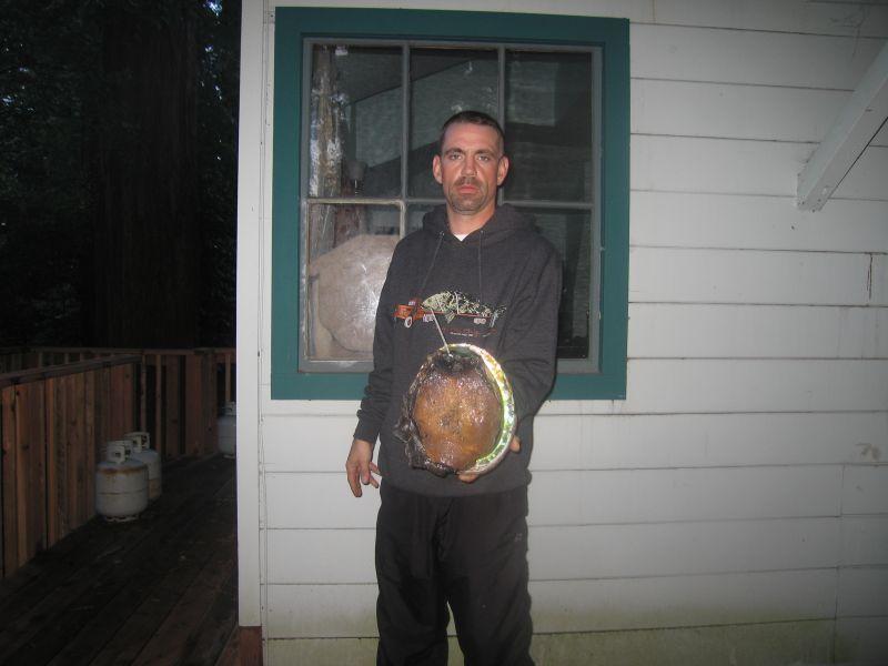 another ten incher abalone from 2010
