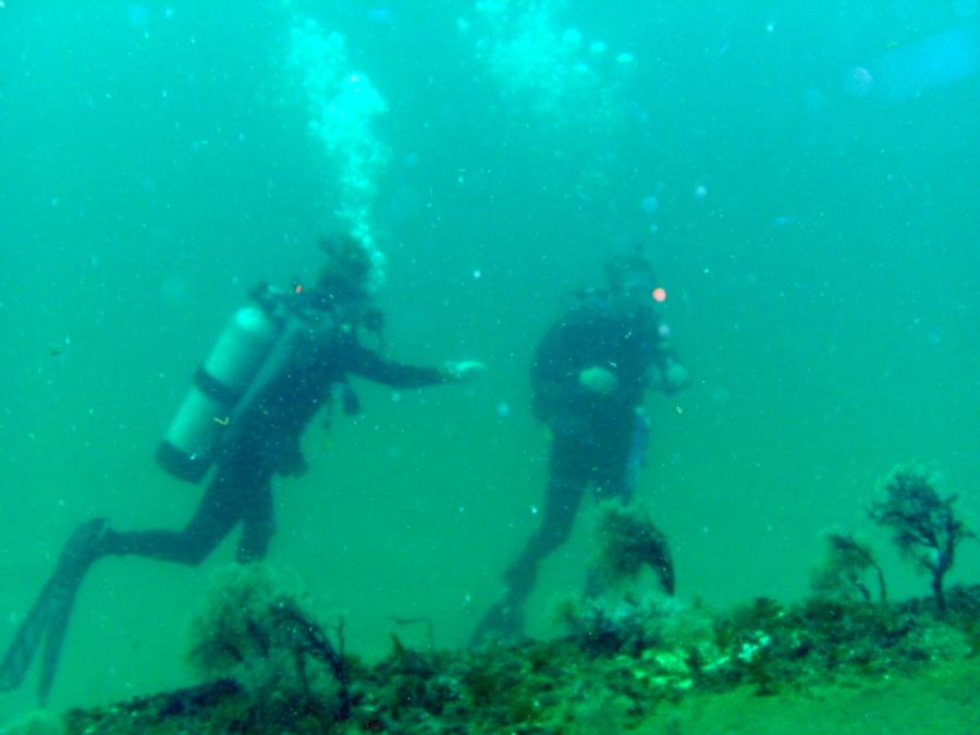 Divers on wreck