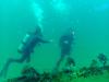 Divers on wreck